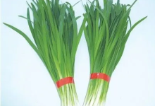 韭菜檢出重金屬超標(biāo),小心被