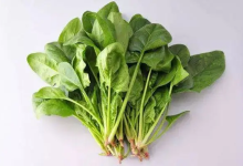 在幫購達(dá)上買的菠菜有問題,檢出重金屬超標(biāo)!|福建-測客