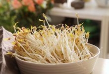 黃豆芽中檢出4-氯苯氧乙酸鈉,疑似催熟劑殘留-測客